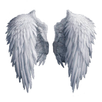 Раскраски Крылья ангела