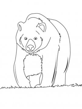 Раскраска Бурый Медведь 6 - Бесплатно распечатать