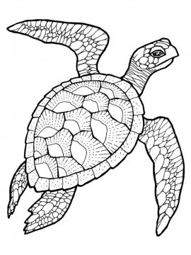 Раскраска Морская Черепаха 25 - Бесплатно распечатать