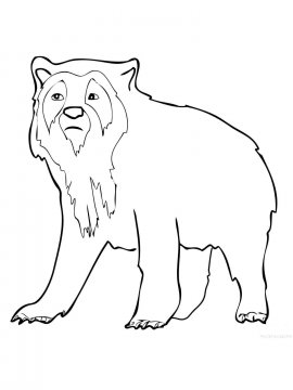 Раскраска Очковый медведь 1 - Бесплатно распечатать