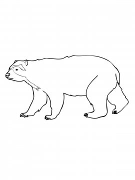 Раскраска Очковый медведь 5 - Бесплатно распечатать