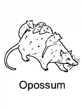 Раскраска Опоссум 9 - Бесплатно распечатать