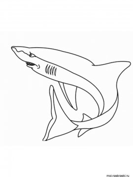 Раскраска Акула 40 - Бесплатно распечатать