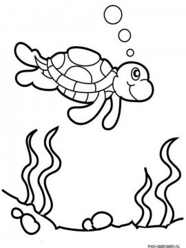 Раскраска Черепаха 36 - Бесплатно распечатать