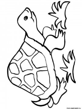 Раскраска Черепаха 38 - Бесплатно распечатать