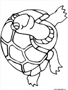 Раскраска Черепаха 29 - Бесплатно распечатать