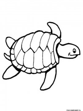 Раскраска Черепаха 30 - Бесплатно распечатать