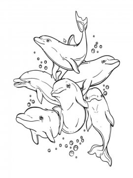 Раскраска Дельфин 22 - Бесплатно распечатать