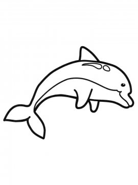 Раскраска Дельфин 24 - Бесплатно распечатать
