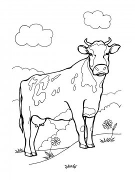 Раскраска Корова 13 - Бесплатно распечатать