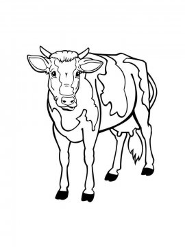 Раскраска Корова 17 - Бесплатно распечатать
