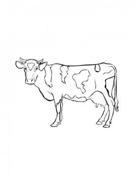 Раскраска Корова 5 - Бесплатно распечатать