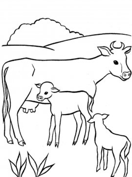 Раскраска Корова 24 - Бесплатно распечатать