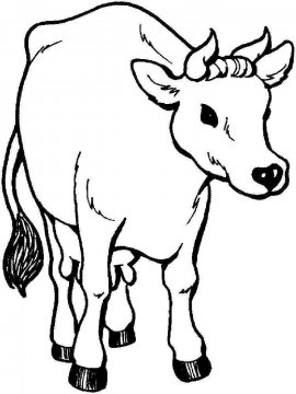 Раскраска Корова 25 - Бесплатно распечатать