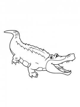 Раскраска Крокодил 16 - Бесплатно распечатать