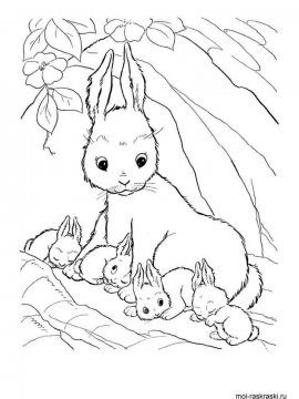 Раскраска Кролик 19 - Бесплатно распечатать
