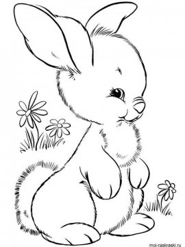 Раскраска Кролик 4 - Бесплатно распечатать