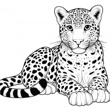 Раскраска Леопард 20 - Бесплатно распечатать