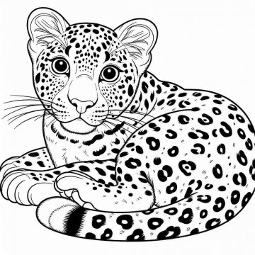 Раскраска Леопард 24 - Бесплатно распечатать
