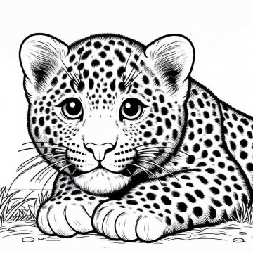 Раскраска Леопард 40 - Бесплатно распечатать