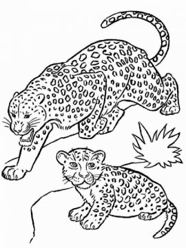 Раскраска Леопард 5 - Бесплатно распечатать