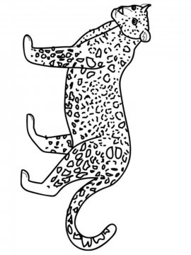 Раскраска Леопард 7 - Бесплатно распечатать