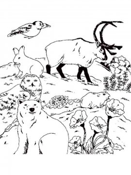 Раскраска Лесные животные 20 - Бесплатно распечатать