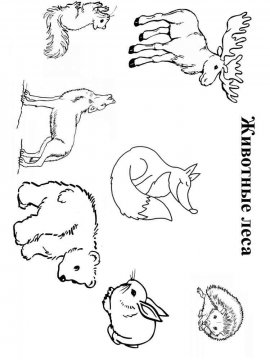 Раскраска Лесные животные 6 - Бесплатно распечатать