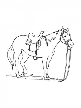 Раскраска Лошадь 38 - Бесплатно распечатать