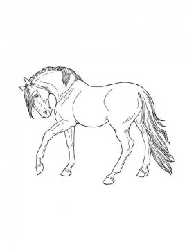 Раскраска Лошадь 43 - Бесплатно распечатать