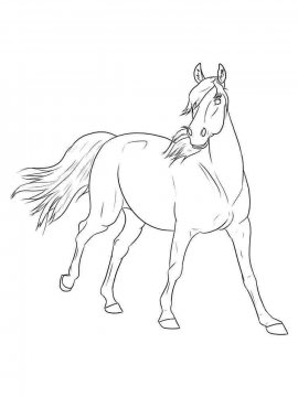 Раскраска Лошадь 31 - Бесплатно распечатать