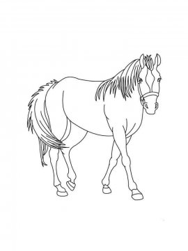 Раскраска Лошадь 34 - Бесплатно распечатать