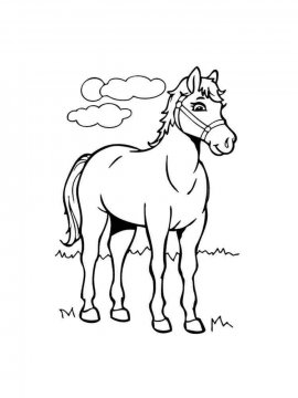Раскраска Лошадь 36 - Бесплатно распечатать