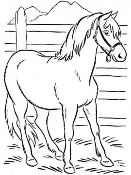 Раскраска Лошадь 12 - Бесплатно распечатать