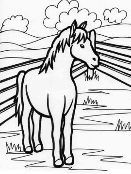Раскраска Лошадь 15 - Бесплатно распечатать