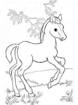 Раскраска Лошадь 2 - Бесплатно распечатать