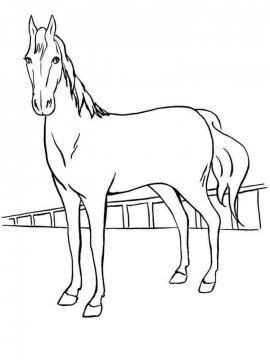 Раскраска Лошадь 26 - Бесплатно распечатать
