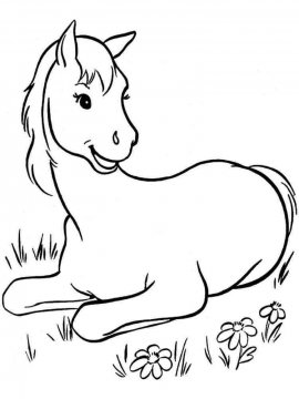 Раскраска Лошадь 28 - Бесплатно распечатать