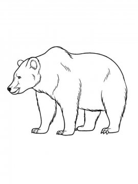 Раскраска Медведь 32 - Бесплатно распечатать