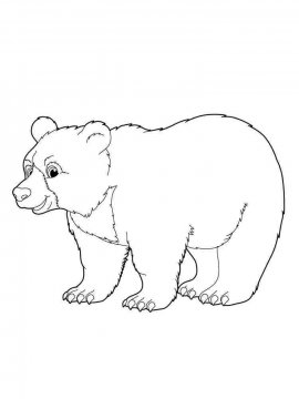 Раскраска Медведь 25 - Бесплатно распечатать
