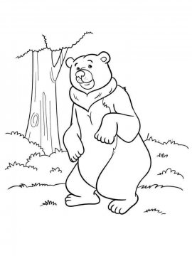 Раскраска Медведь 27 - Бесплатно распечатать