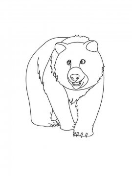 Раскраска Медведь 28 - Бесплатно распечатать