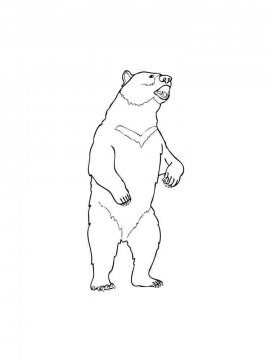 Раскраска Медведь 30 - Бесплатно распечатать