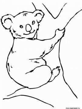 Раскраска Медведь 10 - Бесплатно распечатать