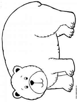 Раскраска Медведь 11 - Бесплатно распечатать