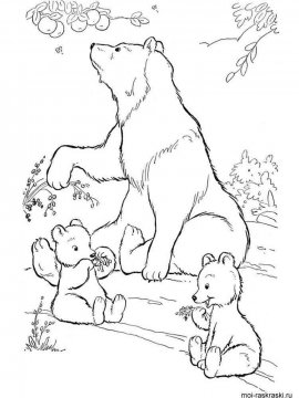 Раскраска Медведь 14 - Бесплатно распечатать