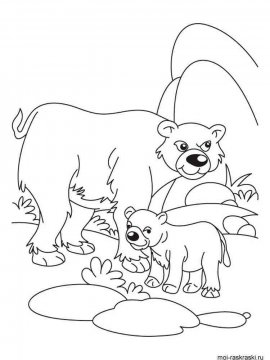 Раскраска Медведь 17 - Бесплатно распечатать