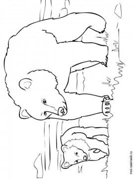 Раскраска Медведь 19 - Бесплатно распечатать