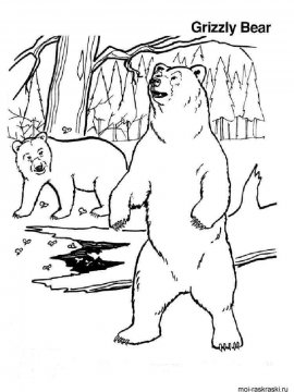 Раскраска Медведь 3 - Бесплатно распечатать