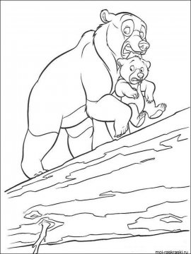 Раскраска Медведь 4 - Бесплатно распечатать
